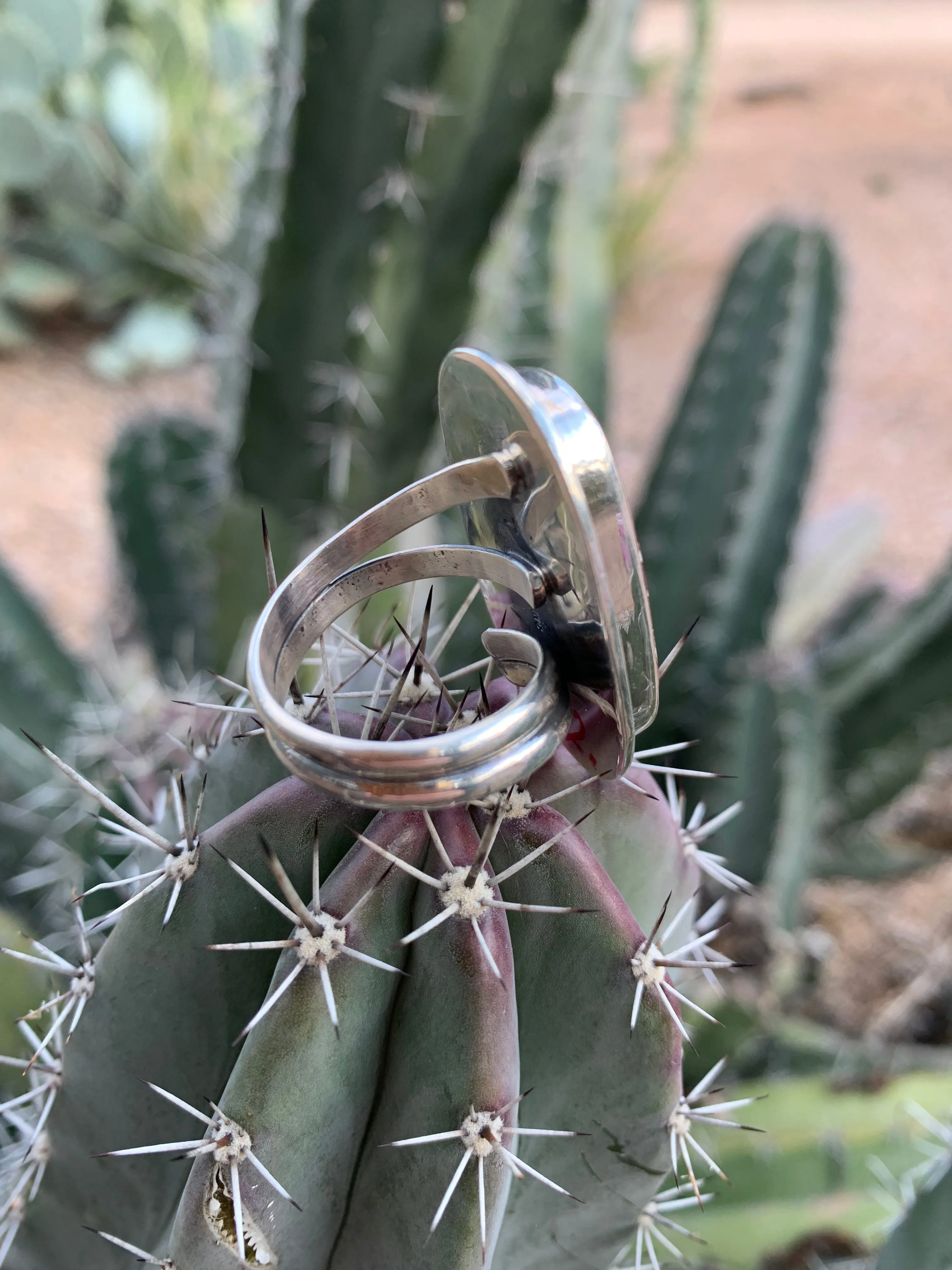 A Wild Horse Adjustable ring
