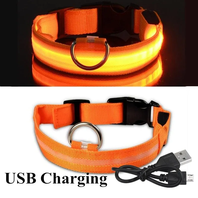 Anniepaw LED Rechargeable Adjustable Night Light Waterproof  Glowing Dog Collars