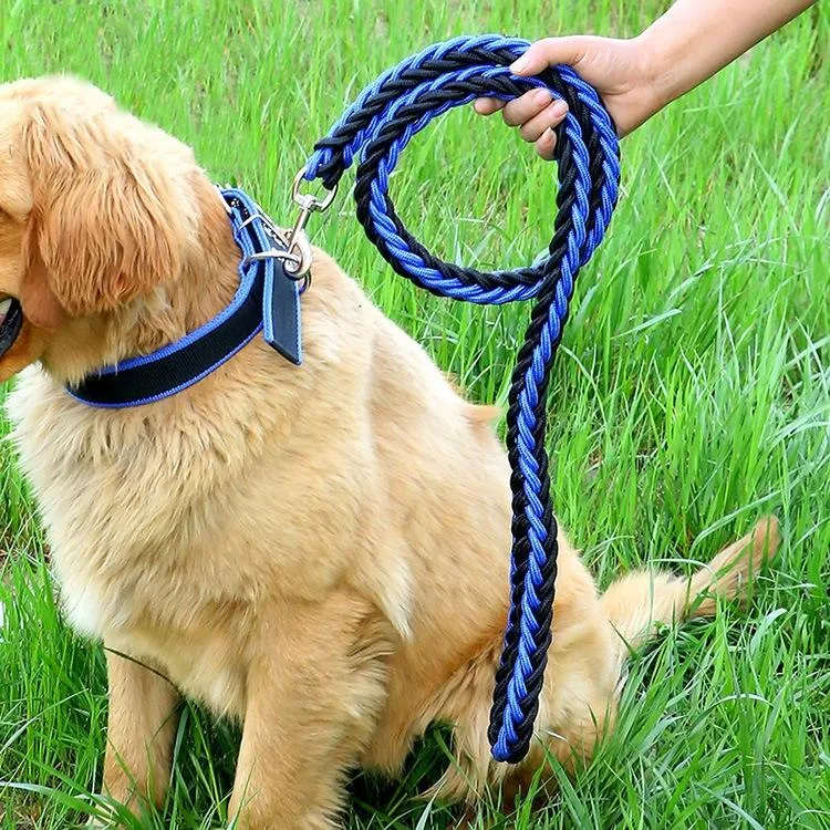 Braided Dog Leash With Explosion Proof Belt Size M