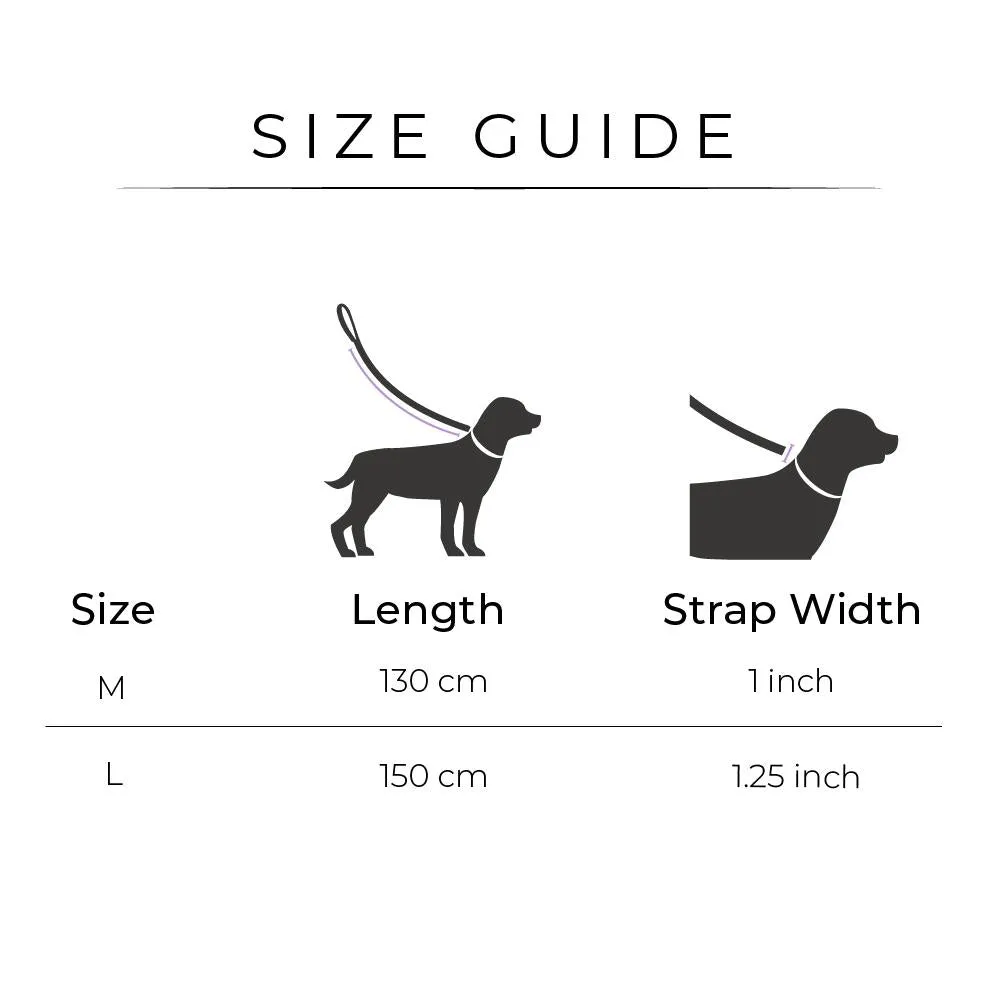 Dear Pet Classic Purple Dog Leash