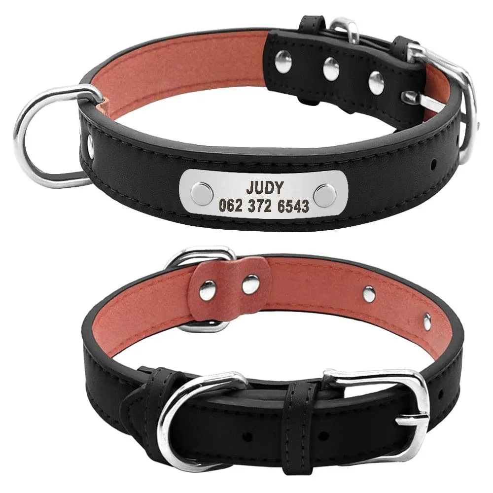 Dog Collar with Customizable ID Tag