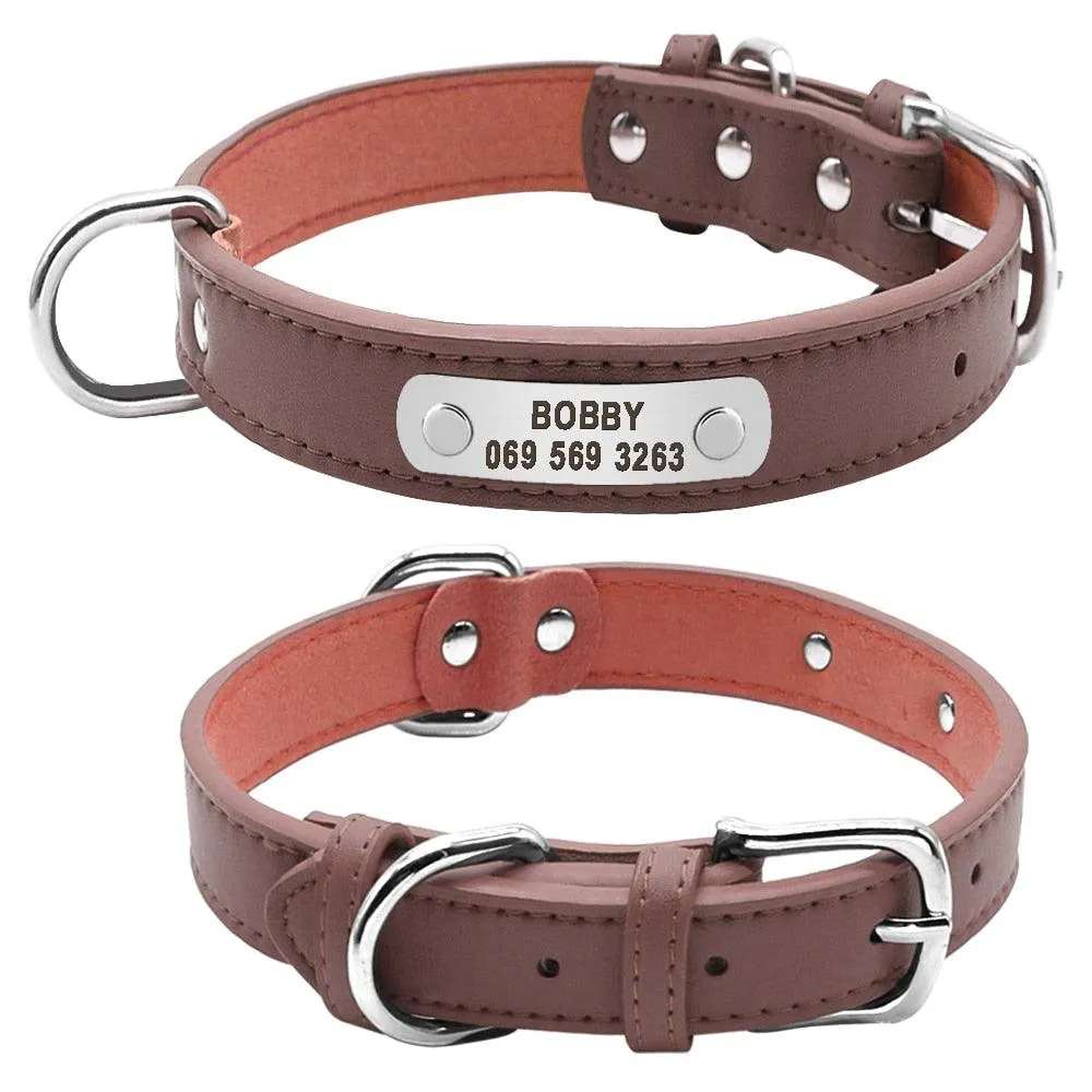Dog Collar with Customizable ID Tag