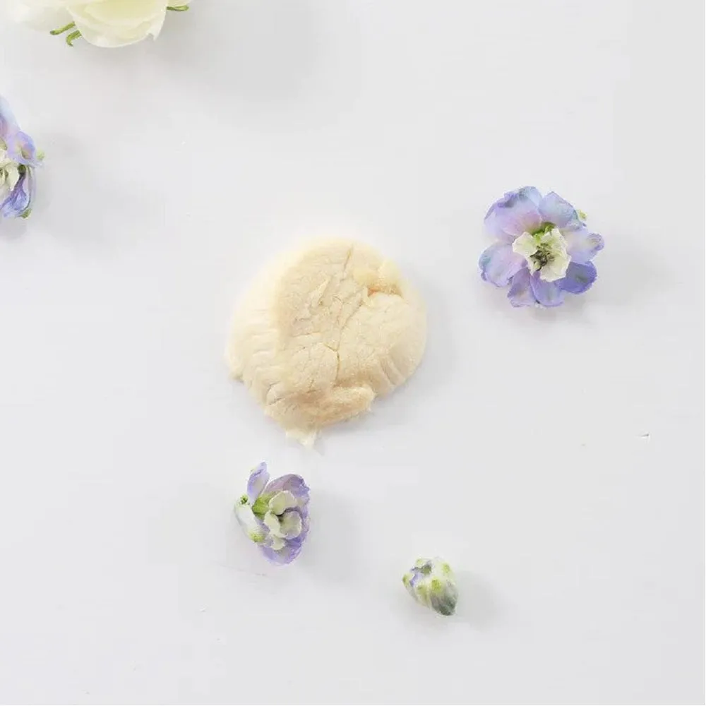 Freeze Dried Hokkaido Scallops Treats for Dogs and Cats