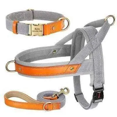 Posh Padded Dog Collar Set