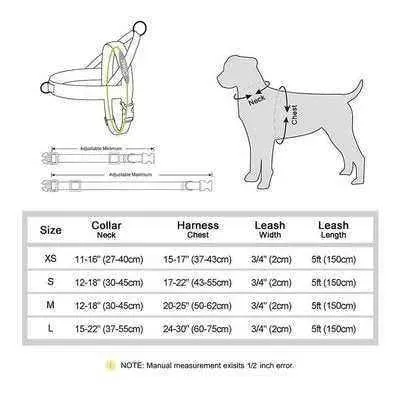 Posh Padded Dog Collar Set