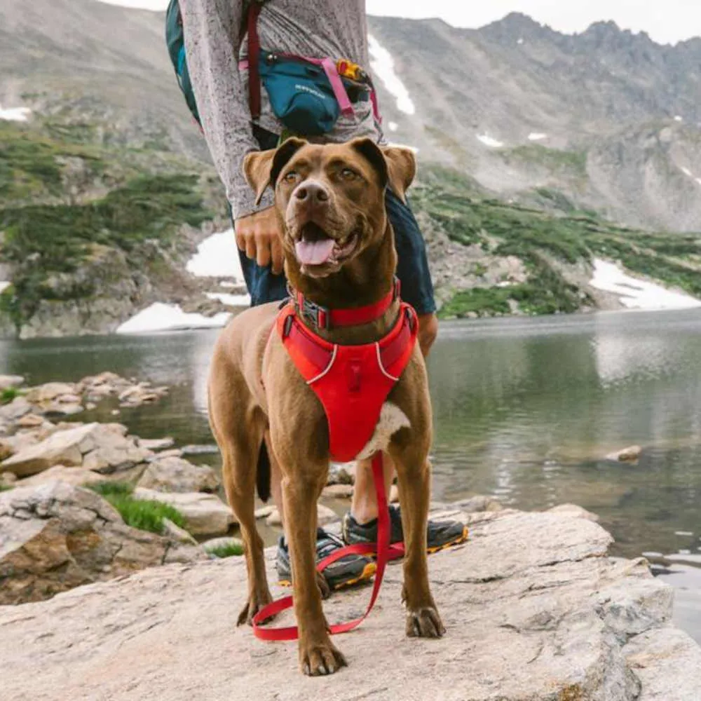 Ruffwear Front Range No-Pull Everyday Dog Harness (Basalt Gray)